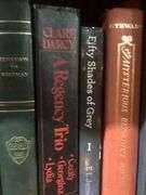 Assorted Books Including Novels and Informationals