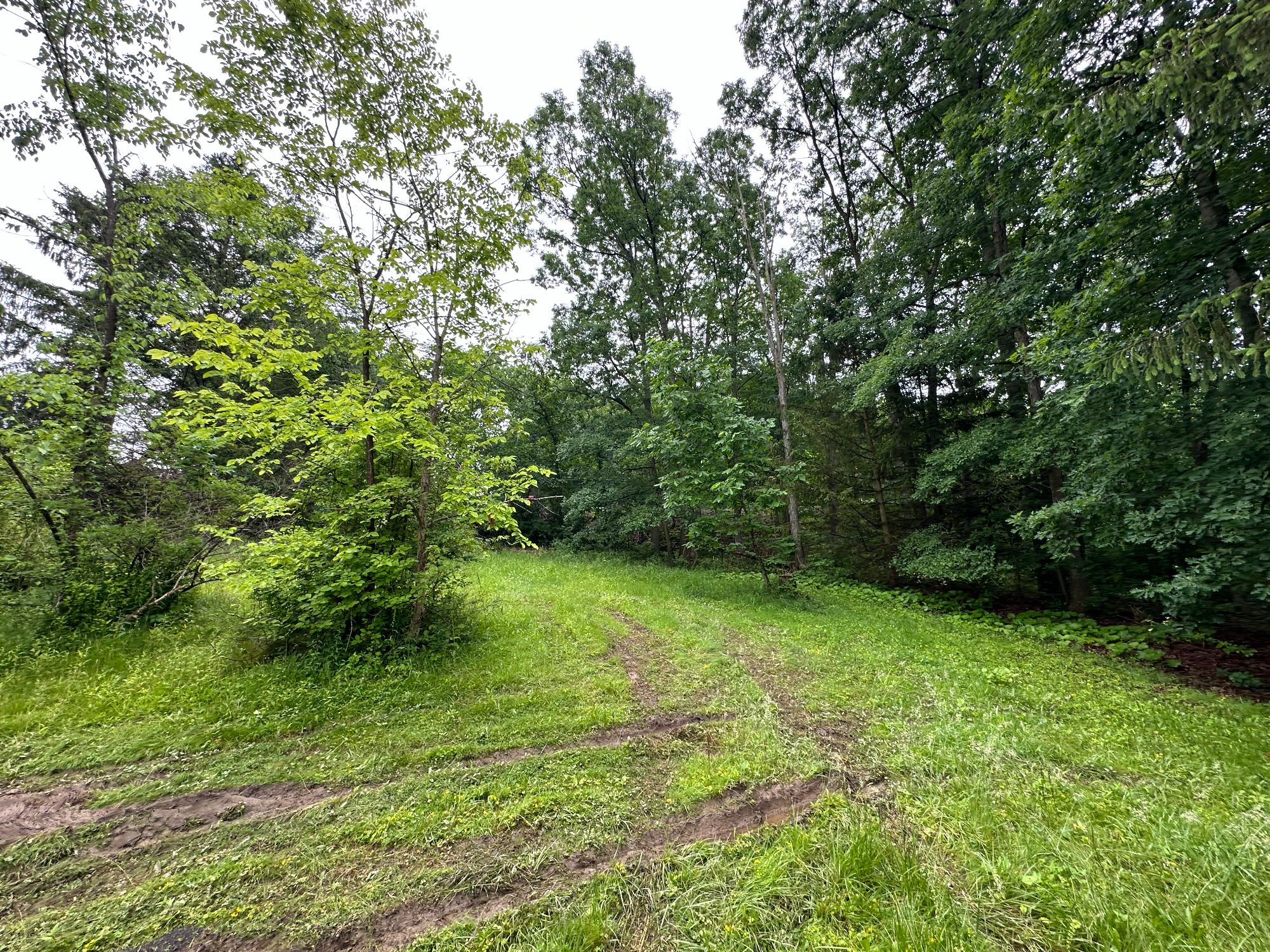 Lot image 7