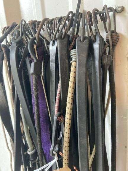 Assortment of Bungee Chords