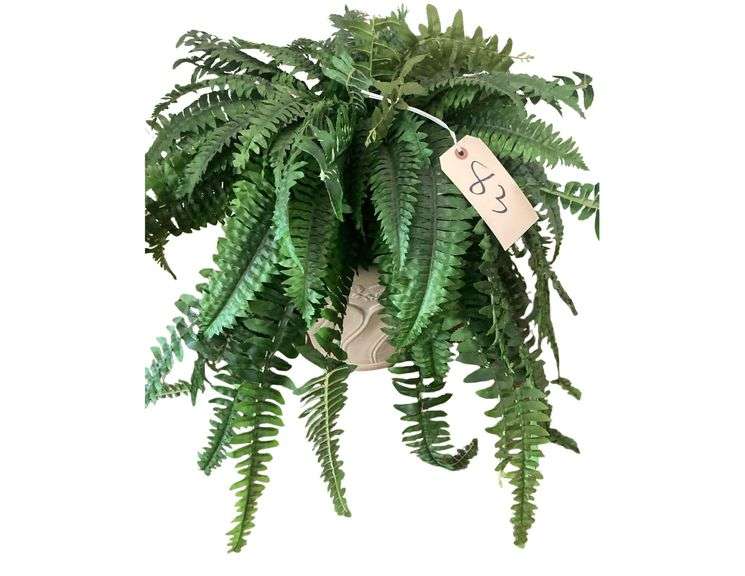 Faux Plant Decor