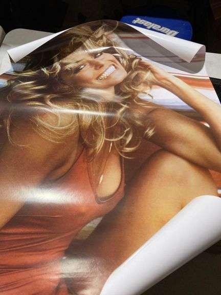 Poster of Lady image