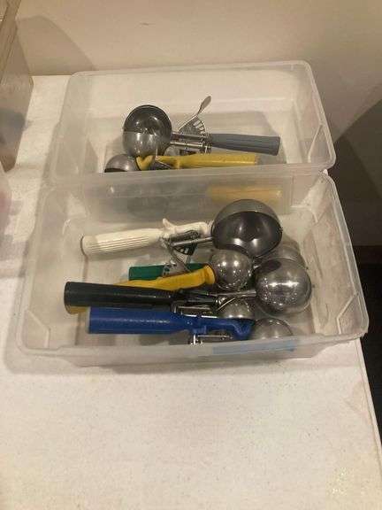 2 Bins with Assorted Ice Cream Scoops