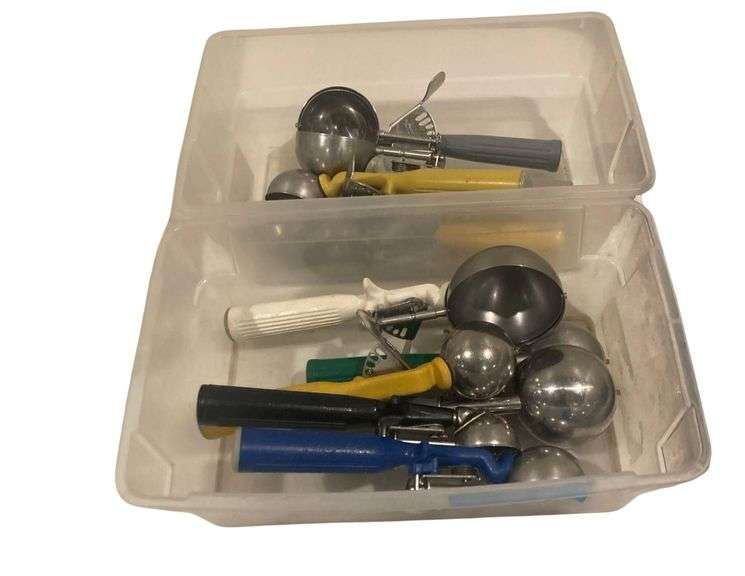 2 Bins with Assorted Ice Cream Scoops