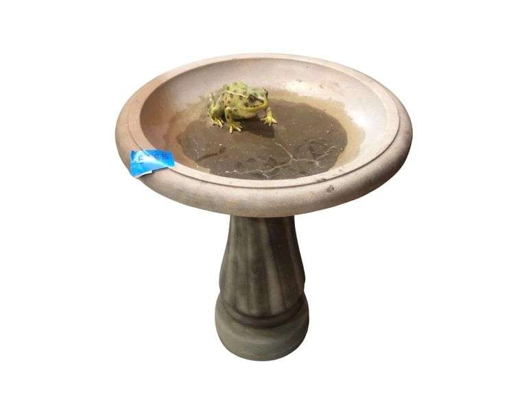 Plastic Birdbath with Frog