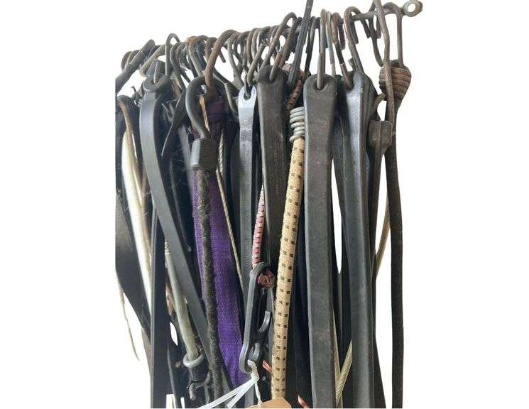 Assortment of Bungee Chords image