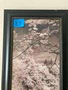 16in x 36in Framed Print