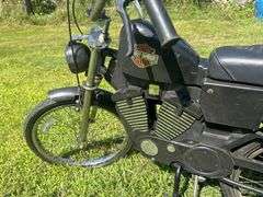 Roadster Harley Davidson Pedal Bike