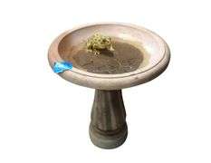 Plastic Birdbath with Frog