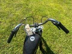 Roadster Harley Davidson Pedal Bike