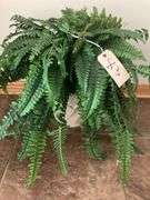 Faux Plant Decor