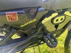 Roadster Harley Davidson Pedal Bike