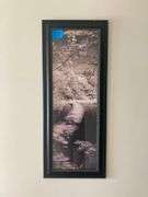 16in x 36in Framed Print