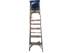 Werner 6ft Ladder
