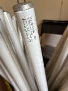 Lot of Assorted Supplies and Equipment - Fluorescent Bulbs, Painting Supplies, Drywall, Animal Crate