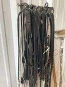 Assortment of Bungee Chords