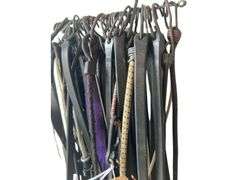 Assortment of Bungee Chords