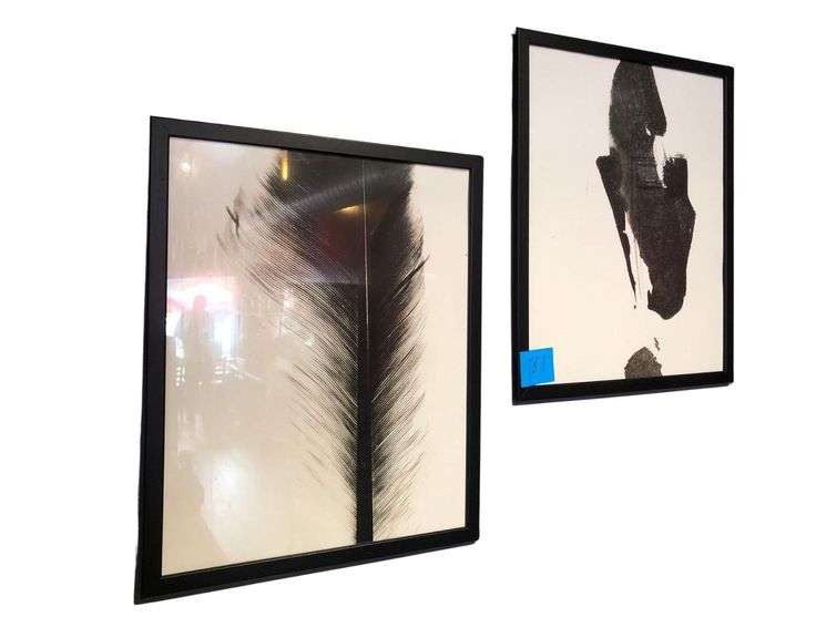 2 Framed Black And White Pictures 21in x 17in image