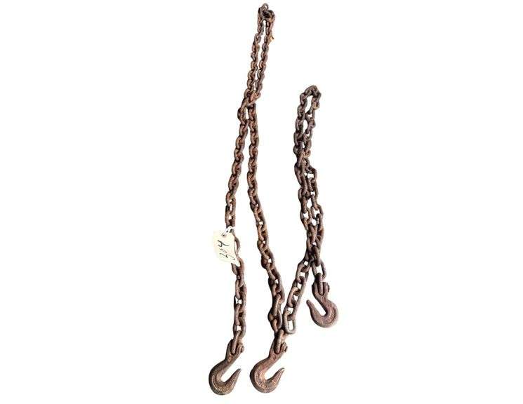 10’ Chain w/ Both Ends and 6’ Chain w/ 1 Hook image
