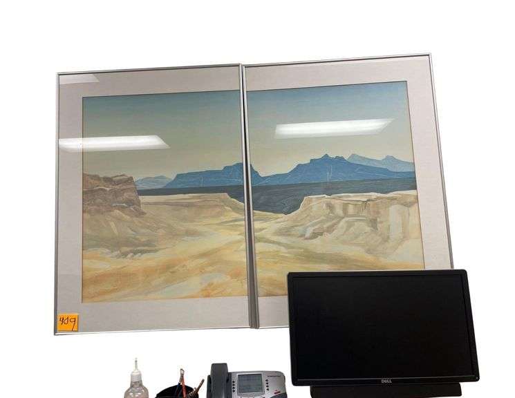 2 Pictures 35inx25in image