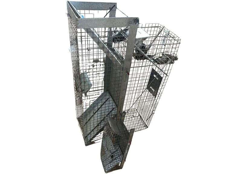 Steel Animal Traps S/M/L image