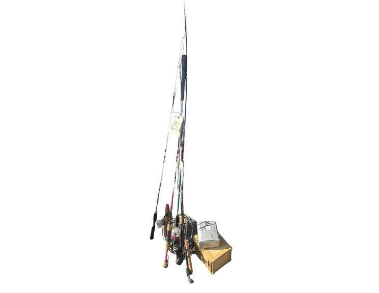 Fishing Poles and Reel image