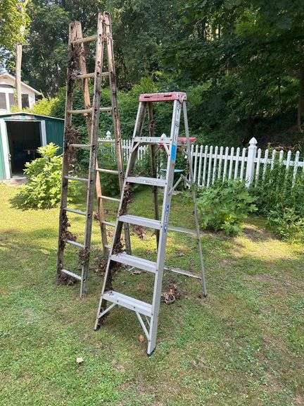 Two Ladders - Werner Painting Ladder, 6ft and Davidson Extension Ladder, 16ft image