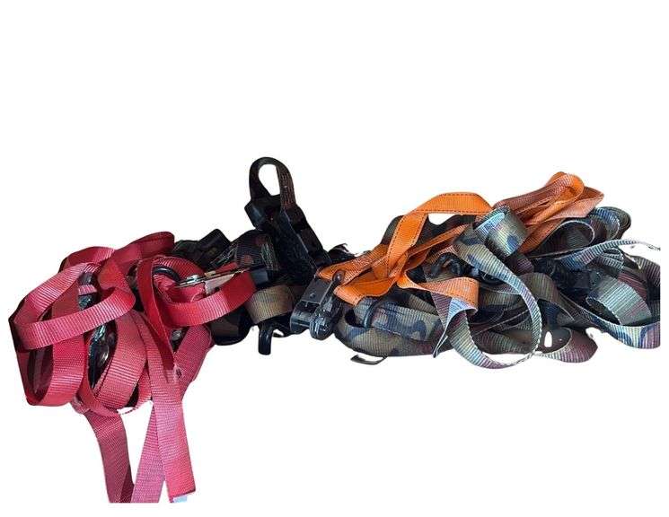 Ratchet Straps image