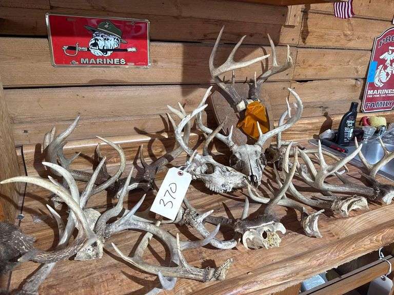 Large Assortment of Deer Antlers image