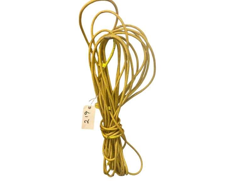 Extension Cord image