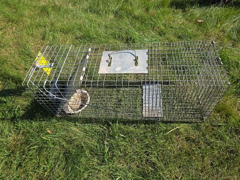 10 x 12 x 32 live trap