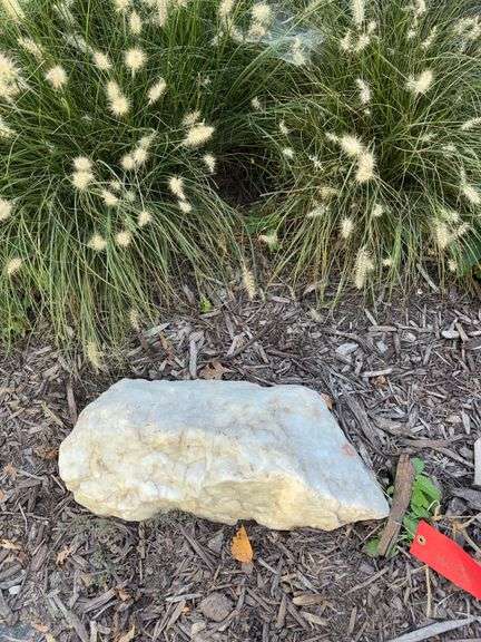 Decorative rock(right by bees nest beware) image