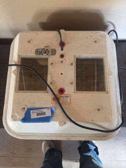 Hova-Bator egg incubator image