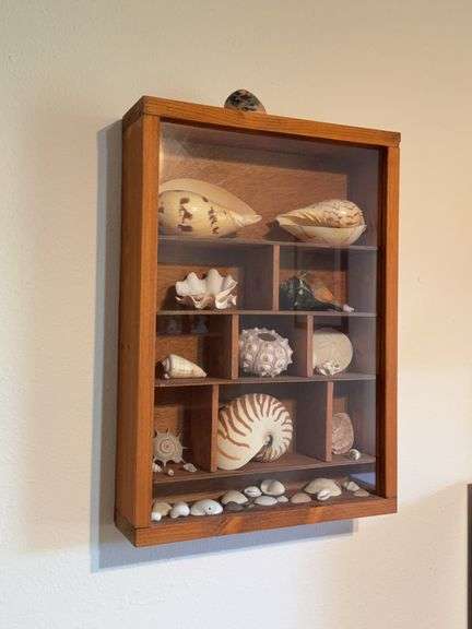 Shadowbox w/ seashells 13 x 19 image