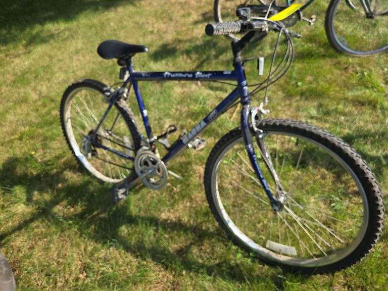 Pressure Point Magna 15 sp bike