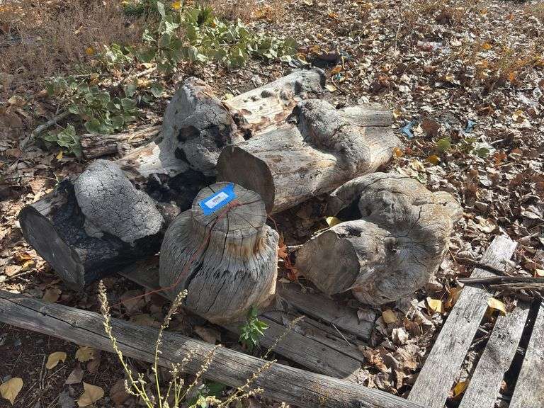 4 pieces of wood burls image