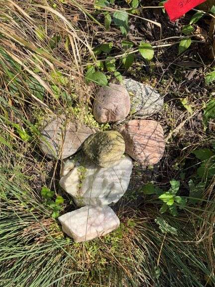 4 decorative rocks image