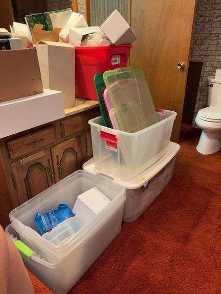 Various storage totes and lids image