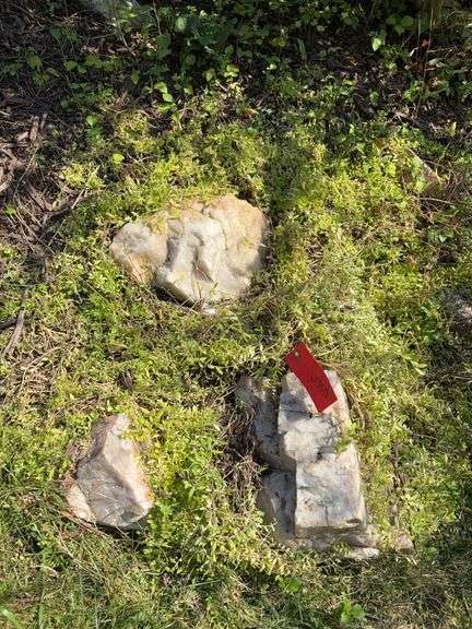 Decorative rock image