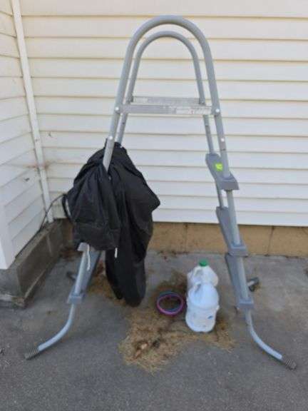 Pool ladder image