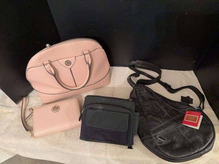 Anne Klein purse with matching clutch, wallet style fanny pack and NWT Bacci cross body bag image
