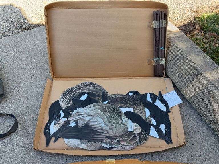 1 dozen Outlaw Decoys Magnum Goose color Decoys NIB image