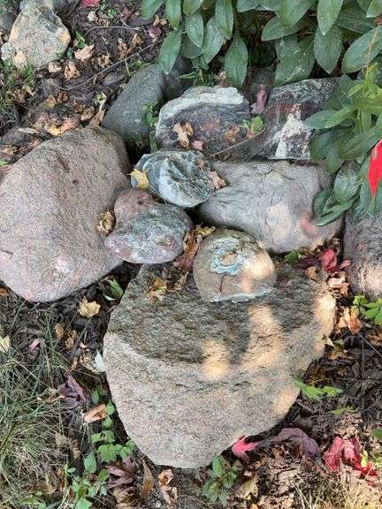 Rocks-take as many as you want for one money image