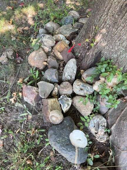 Rocks-take as many as you want for one money image