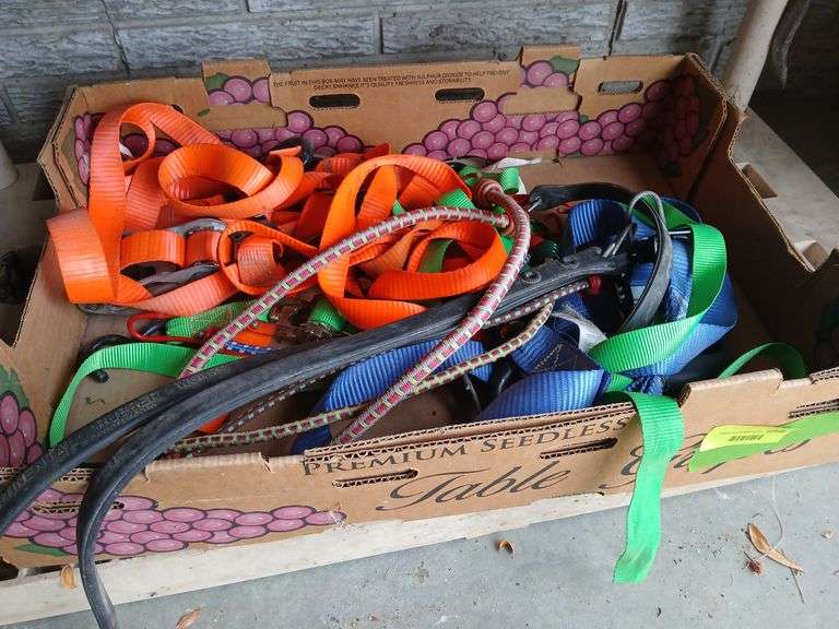 Assorted rachet straps and bungee cords image