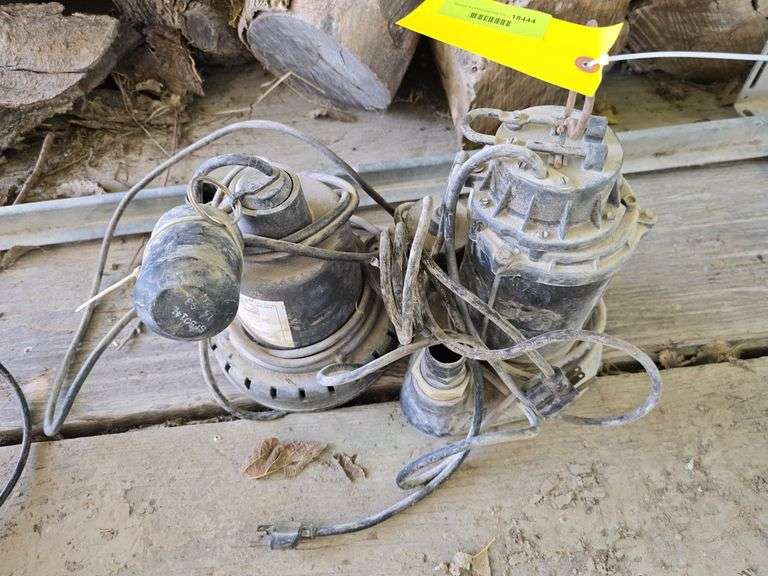 Pair float style submersible pumps