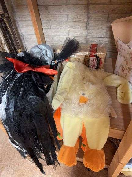 Halloween costumes and decorations image