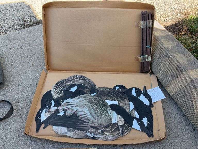 1 dozen Outlaw Decoys Magnum Goose color Decoys NIB image
