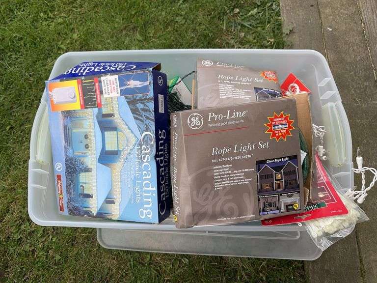 Tote of holiday lighting image