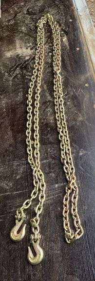 1 NEW 3/8" x 20' Log Chain, MOUNT VERNON image