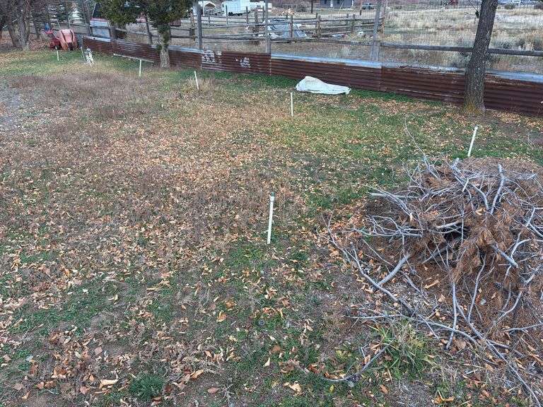 Corrugated tin along the fence bring tools to remove image